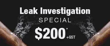 Leak Investigation Discount Sandringham