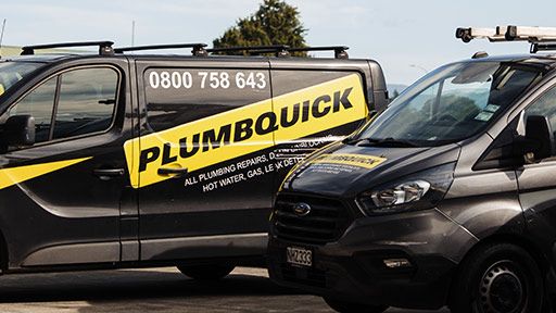 Professional Sandringham Plumbers