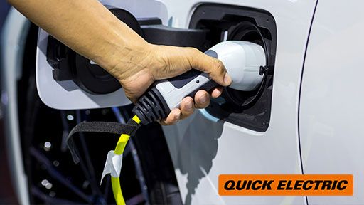 Fast, One Time Service In Sandringham